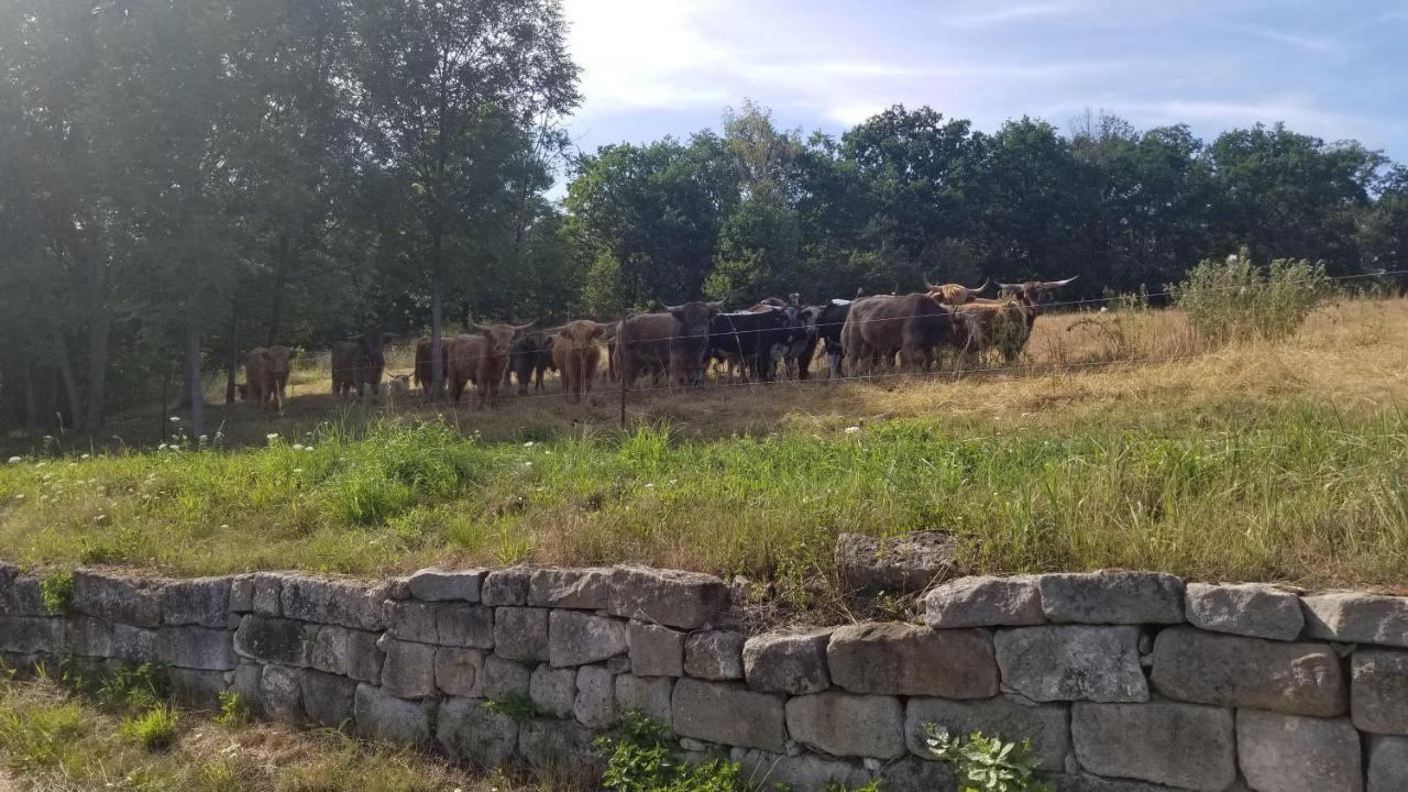 Ferienwohnung-Zum-Malerweg Pirna Buitenkant foto